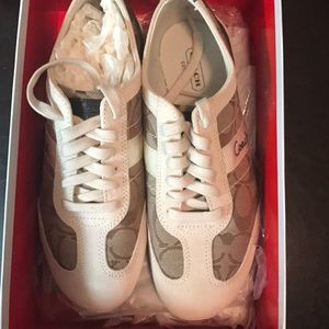 Woman coach shoes size 61/2